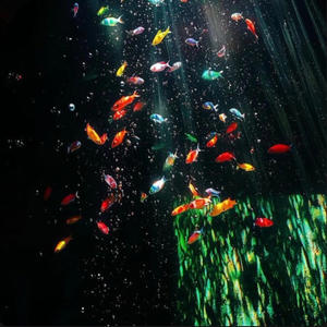 Unbothered (Explicit)