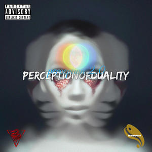 perception 2.0 (Explicit)