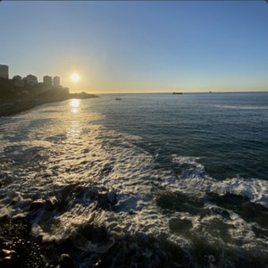 Viña Del Mar