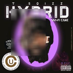 HYBRID (Explicit)