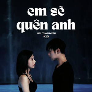 Em Sẽ Quên Anh (Lofi)