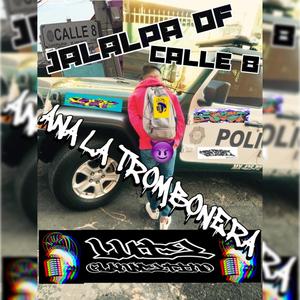 Jalalpa DF Calle 8 (feat. Ana la Trombonera)