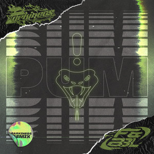PUM (Parkineos Remix|Explicit)