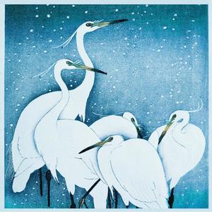 Sweet Nights(feat. Rose Bonbon)