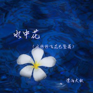 水中花(这纷纷飞花已坠落)