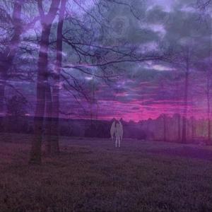 Scared of Death (feat. Yung Lxvr)