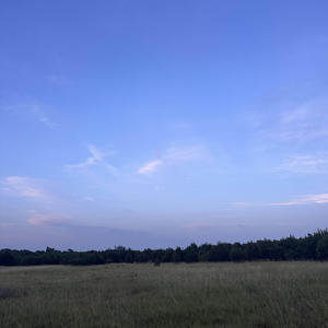 dbl_dutch (feat. aftrr! & seemar) (Explicit)