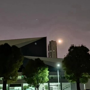 用我的方式喜欢你很久 (Demo)