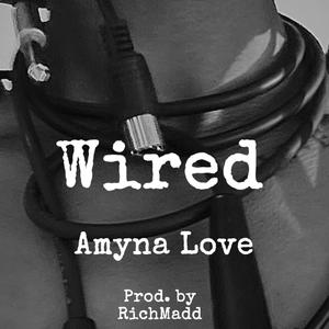 Wired (Explicit)