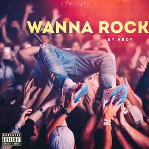wanna rock (Explicit)
