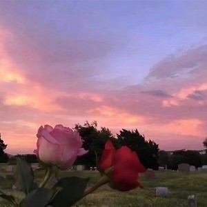 钢琴曲纯音乐舒缓睡眠 放松大脑