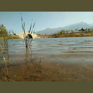 小桥流水(家乡西宁小桥)