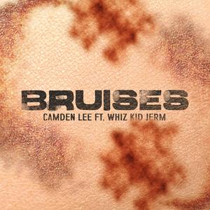 Bruises (feat. Camden Lee) (Explicit)