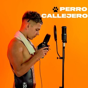 Perro Callejero