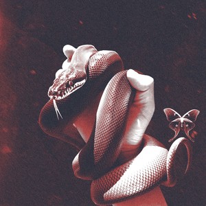 АДРЕНАЛИН (Explicit)