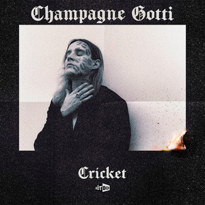 Cricket (Explicit)