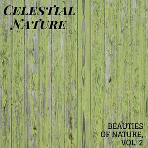 Celestial Nature - Beauties of Nature, Vol. 2