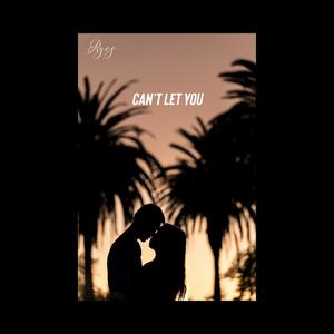 Can't let you (Explicit)