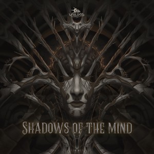 Shadows of the Mind