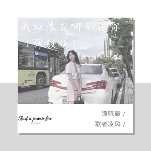 青花瓷 (戏腔dj版)