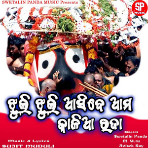 Jhuli Jhuli Asibe Ama Kalia Raja