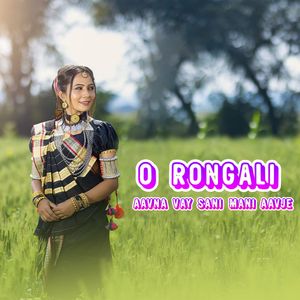 O Rongali Aavna Vay Sani Mani Aavje