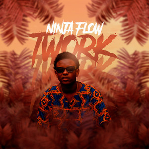 Ninja Flow - Twork (Explicit)