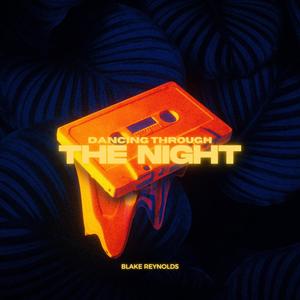Dancing Through The Night