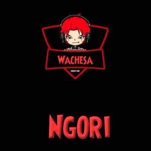 Ngori