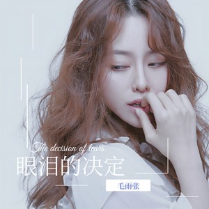 眼泪的决定封面