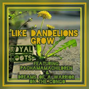 Like Dandelions Grow