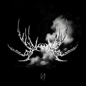 THE VOID (MEGA SLOWED) (feat. N!GHTvisiøn, DudePlaya)