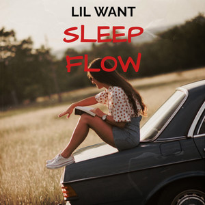 Sleep Flow (Explicit)