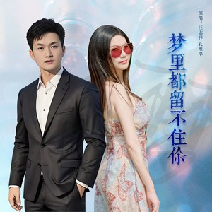 梦里都留不住你