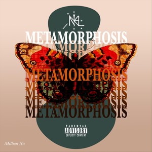 Dark Nights in Wizard Land (Explicit)