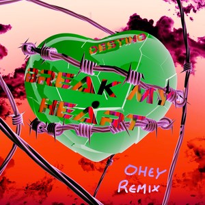 Break My Heart (OHEY Remix)