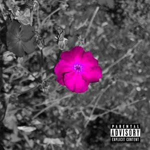 Off The Fence (feat. Tyler Hustle & Fids) (Explicit)