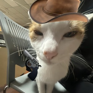 哈基米(牛仔猫Bgm)