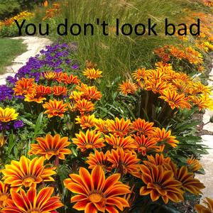 you don't look bad