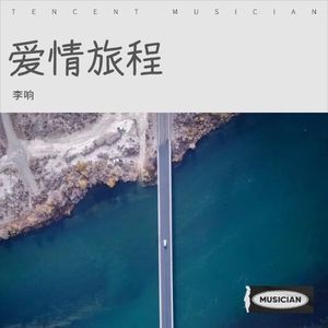爱情旅程 (Live)封面