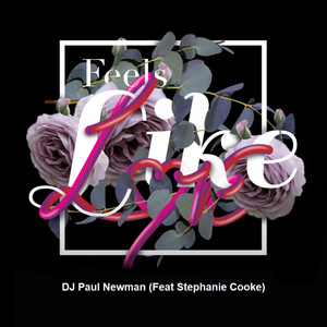 Feels Like Love (Extended Instrumental Mix)