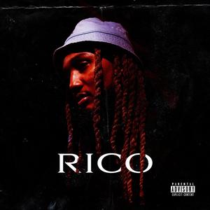 RICO (Explicit)