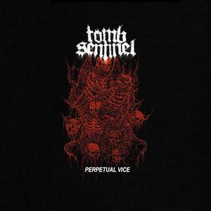 Perpetual Vice (Explicit)