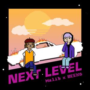 Next Level (feat. BEEK$) [Explicit]