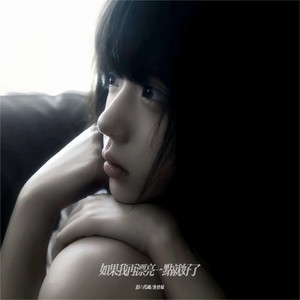 如果我再漂亮一点就好了