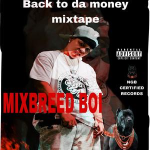 Back To Da Money (Mixtape) [Explicit]