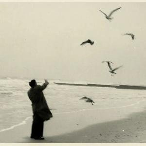 light of dawn (feat. All Falls Together)