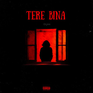 Tere Bina