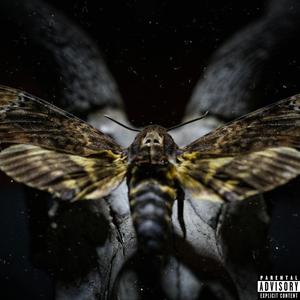 Silence of the Lambs (feat. IamPD) (Explicit)