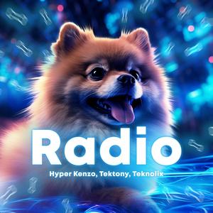 Radio (Techno) [Explicit]